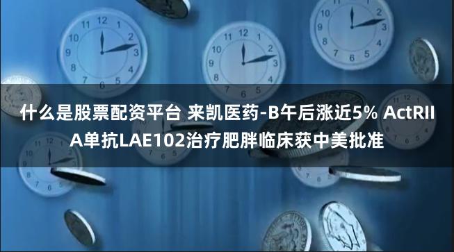 什么是股票配资平台 来凯医药-B午后涨近5% ActRIIA单抗LAE102治疗肥胖临床获中美批准