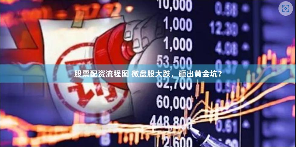 股票配资流程图 微盘股大跌，砸出黄金坑？