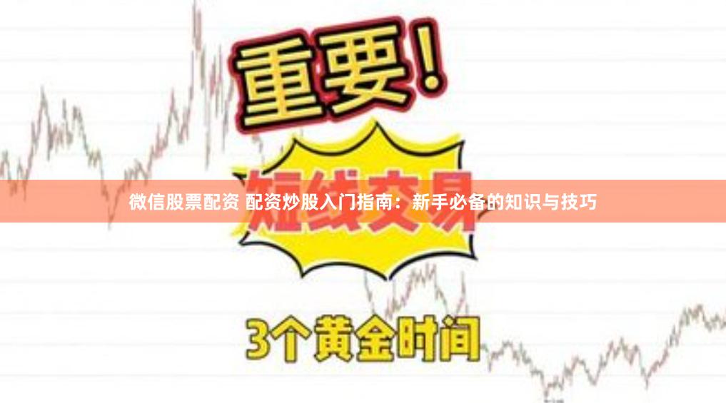 微信股票配资 配资炒股入门指南：新手必备的知识与技巧